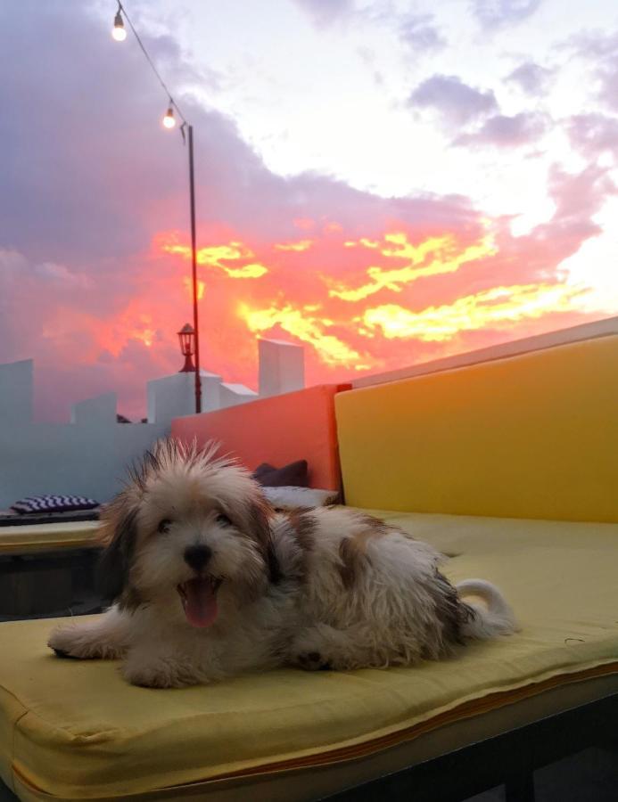 Antwet Backpacker'S Inn & Rooftop Bar Dumaguete City Exterior foto